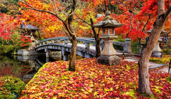 Обои на рабочий стол: autumn, bridge, colorful, fall, japan, japanese garden, kyoto, landscape, leaves, maple, park, tree, деревья, клён, листья, осень, парк, япония, японский сад