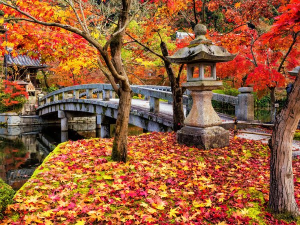 autumn, bridge, colorful, fall, japan, japanese garden, kyoto, landscape, leaves, maple, park, tree, деревья, клён, листья, осень, парк, япония, японский сад