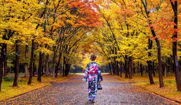 Обои на рабочий стол: autumn, japan, kimono, leaves, nature, park, tree, девушка, деревья, кимоно, листья, осень, парк, япония