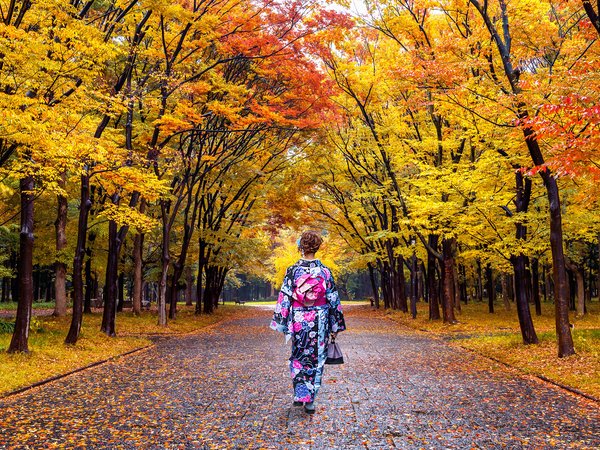 autumn, japan, kimono, leaves, nature, park, tree, девушка, деревья, кимоно, листья, осень, парк, япония