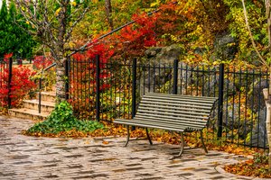 Обои на рабочий стол: autumn, bench, fall, leaves, park, tree, деревья, листья, осень, парк, скамейка