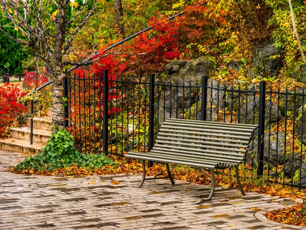 autumn, bench, fall, leaves, park, tree, деревья, листья, осень, парк, скамейка