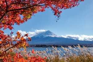 Обои на рабочий стол: autumn, colorful, Fuji Mountain, japan, landscape, leaves, maple, red, гора Фуджи, клён, листья, небо, осенние, осень, япония