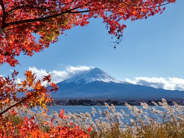 autumn, colorful, Fuji Mountain, japan, landscape, leaves, maple, red, гора Фуджи, клён, листья, небо, осенние, осень, япония