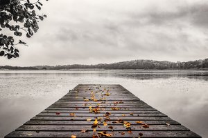 Обои на рабочий стол: листья, мост, озеро, осень