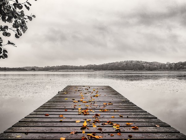 листья, мост, озеро, осень