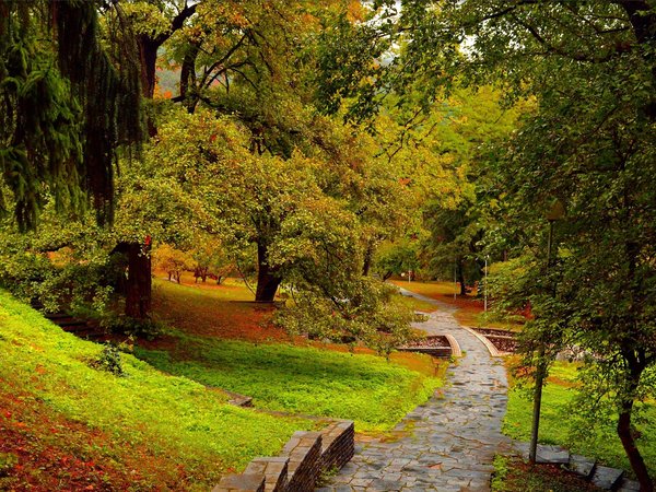 autumn, fall, park, trees, деревья, осень, парк