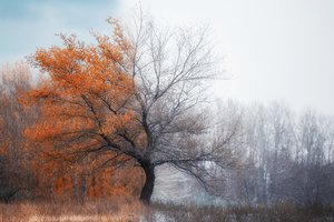 Обои на рабочий стол: зима, Орск, Осен, пейзаж, погода, природа, россия