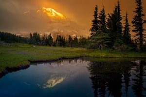 Обои на рабочий стол: Cascade Range, Mount Rainier, Washington State, Гора Рейнир, горы, ели, Каскадные горы, лес, озеро, отражение, поляна, штат Вашингтон