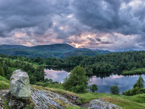 Cumbria, england, Lake District National Park, Tarn Hows, англия, горы, Камбрия, камень, лес, Озёрный край, озеро, панорама