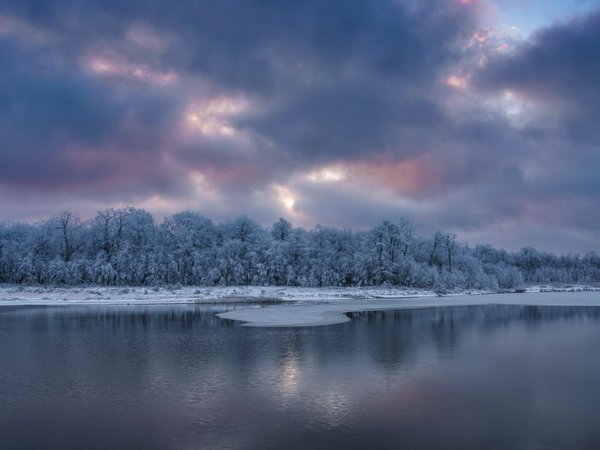 зима, лес, озеро, природа