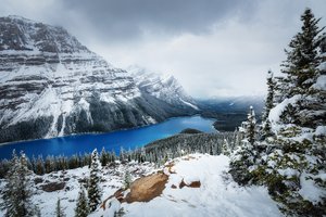 Обои на рабочий стол: горы, зима, канада, лес, озеро Peyto, снег