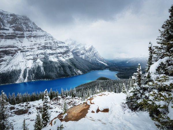 горы, зима, канада, лес, озеро Peyto, снег