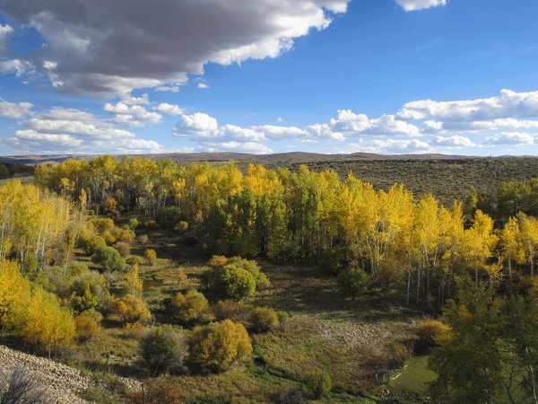 autumn, fall, panorama, usa, utah, Utah National Park, осень, панорама, сша, юта