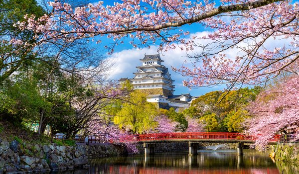 Обои на рабочий стол: blossom, castle, cherry, Himeji, japan, park, sakura, spring, весна, парк, сакура, цветение, япония