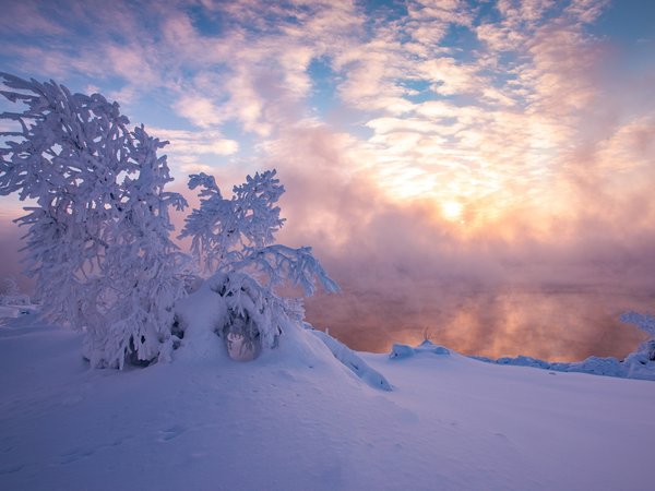 дерево, зима, мороз, морозное утро, Печора, Печорское водохранилище, Республика Коми, россия, снег, сугробы, утро