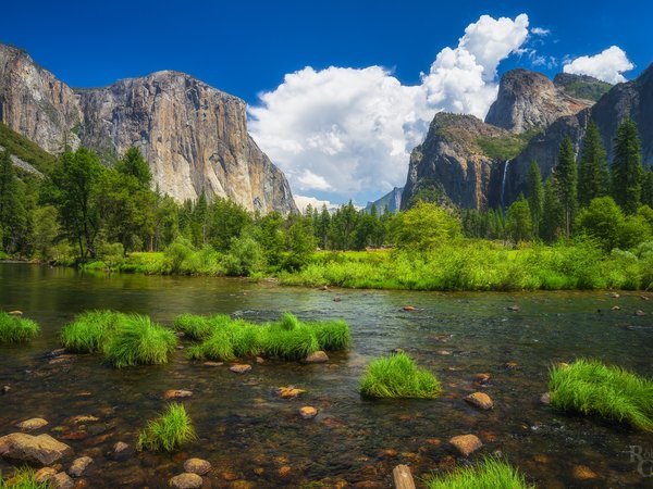 Merced River, Yosemite National Park, горы, йосемити, камни, национальный парк, облака, пейзаж, природа, река, сша, трава