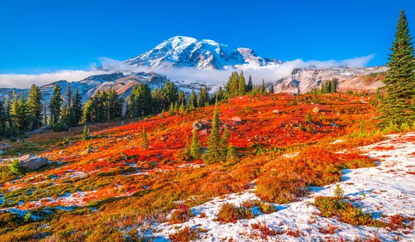 Обои на рабочий стол: Mount Rainier National Park, горы, осень, пейзаж, сша