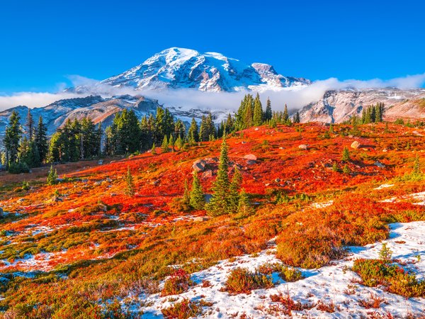 Mount Rainier National Park, горы, осень, пейзаж, сша