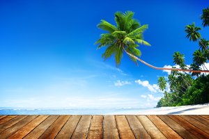 Обои на рабочий стол: beach, beautiful, palms, paradise, sand, sea, seascape, summer, tropical, wood, берег, доски, лето, море, небо, пальмы, песок, пляж, солнце