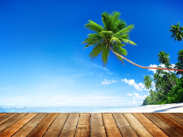 beach, beautiful, palms, paradise, sand, sea, seascape, summer, tropical, wood, берег, доски, лето, море, небо, пальмы, песок, пляж, солнце