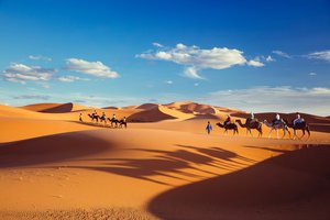 Обои на рабочий стол: доставка Алиэкспресс, караван, небо, облака, песок, пустыня, тени