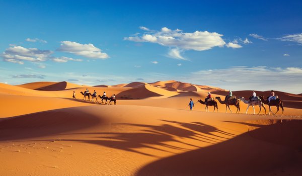 Обои на рабочий стол: доставка Алиэкспресс, караван, небо, облака, песок, пустыня, тени