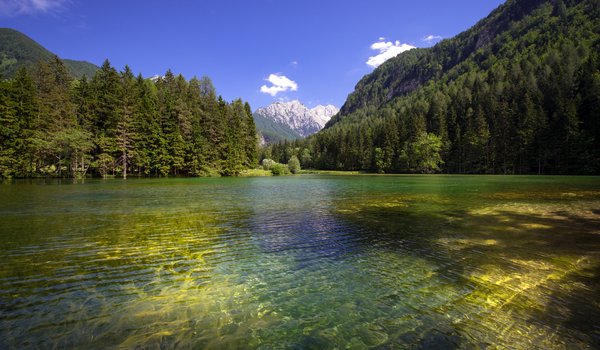 Обои на рабочий стол: Planšarsko jezero, Slovenia, горы, лес, озеро, Планшарско озеро, рябь на воде, Словения