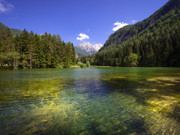 Planšarsko jezero, Slovenia, горы, лес, озеро, Планшарско озеро, рябь на воде, Словения