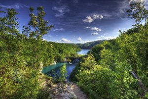 Обои на рабочий стол: Croatia, Plitvice Lakes National Park, деревья, лес, Национальный парк Плитвицкие озёра, озёра, панорама, Плитвицкие озёра, Хорватия