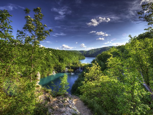 Croatia, Plitvice Lakes National Park, деревья, лес, Национальный парк Плитвицкие озёра, озёра, панорама, Плитвицкие озёра, Хорватия