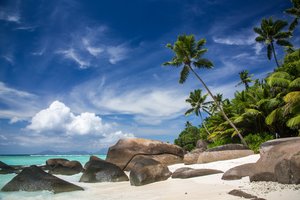 Обои на рабочий стол: камни, океан, пальмы, пляж, побережье, Сейшельские Острова, тропики