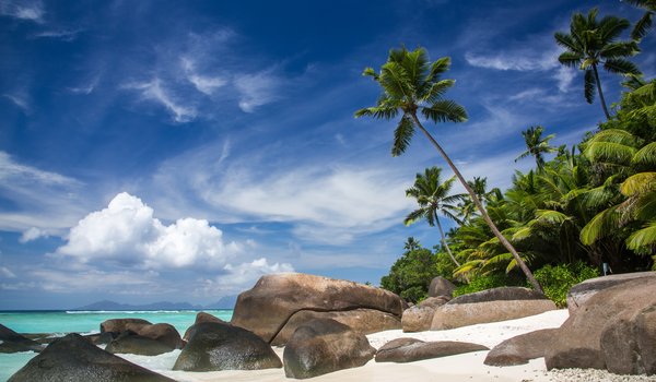 Обои на рабочий стол: камни, океан, пальмы, пляж, побережье, Сейшельские Острова, тропики