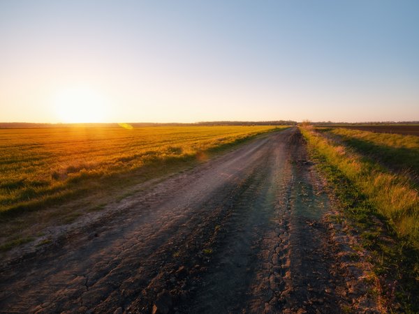 дорога, поле, утро