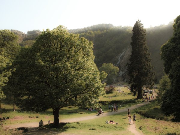 nature, panorama, trees, waterfall, водопад, деревья, панорама, природа