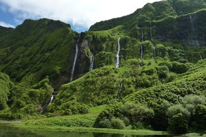 Обои на рабочий стол: clouds, forest, horizon, jungle, landscape, mountains, nature, plants, river, sky, trees, waterfall, водопад, горизонт, горы, деревья, джунгли, лес, небо, облака, пейзаж, природа, растения, река