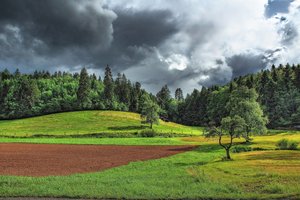 Обои на рабочий стол: clearing, field, forest, landscape, nature, plants, sky, Storm Clouds, trees, грозовые тучи, деревья, лес, небо, пейзаж, поле, поляна, природа, растения