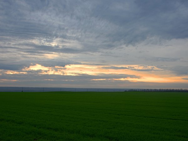 clouds, evening, field, grass, horizon, landscape, nature, sky, stormclouds, sunset, вечер, горизонт, грозовые тучи, закат, небо, облака, пейзаж, поле, природа, трава