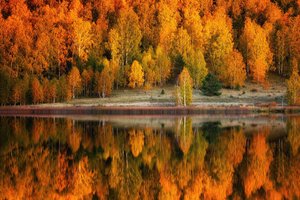 Обои на рабочий стол: берег, деревья, лес, озеро, осень, отражение, пейзаж, природа