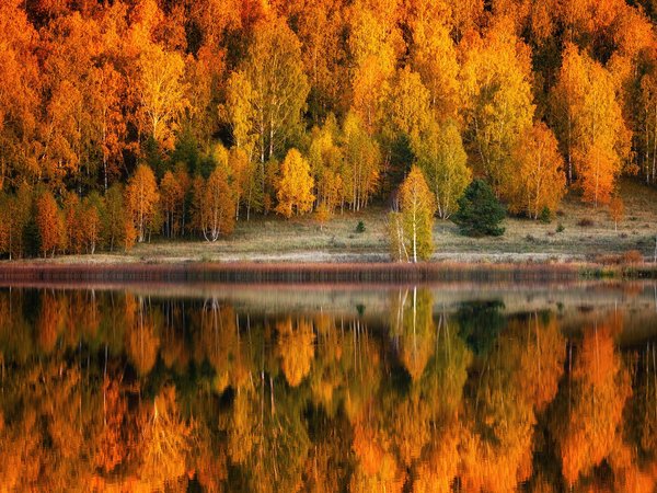 берег, деревья, лес, озеро, осень, отражение, пейзаж, природа
