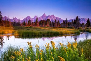 Обои на рабочий стол: field, flowers, forest, horizon, landscape, mountains, nature, plants, reflections in water, river, sky, sunset, trees, valley, горизонт, горы, деревья, долина, закат, лес, небо, отражения в воде, пейзаж, поле, природа, растения, река, цветы