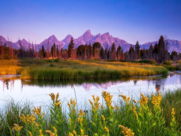 field, flowers, forest, horizon, landscape, mountains, nature, plants, reflections in water, river, sky, sunset, trees, valley, горизонт, горы, деревья, долина, закат, лес, небо, отражения в воде, пейзаж, поле, природа, растения, река, цветы