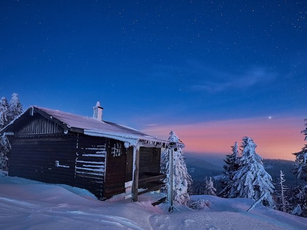вечер, деревья, дом, ели, звезды, зима, небо, пейзаж, природа, снег