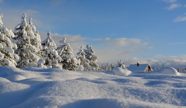 Обои на рабочий стол: деревья, домик, ели, елки, зима, небо, пейзаж, природа, снег