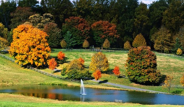 Обои на рабочий стол: autumn, fall, fontain, nature, Pond, trees, water, деревья, лес, осень, поле, природа, пруд, фонтан