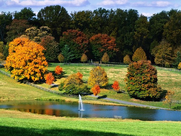 autumn, fall, fontain, nature, Pond, trees, water, деревья, лес, осень, поле, природа, пруд, фонтан