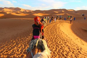 Обои на рабочий стол: camels, caravan, clouds, desert, dunes, footprints in the sand, horizon, rest, sand, sky, tourist, trip, верблюды, горизонт, дюны, караван, небо, облака, отдых, песок, пустыня, путешествие, следы на песке, турист