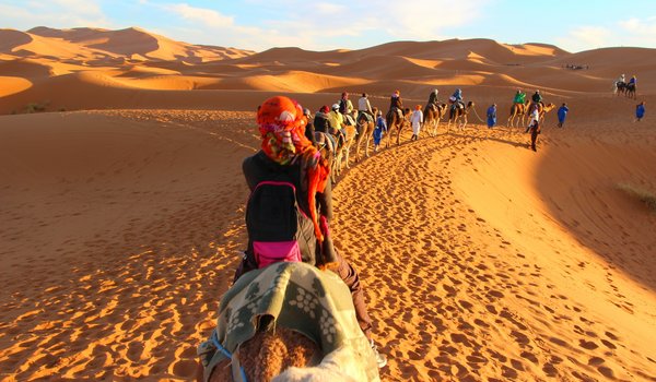 Обои на рабочий стол: camels, caravan, clouds, desert, dunes, footprints in the sand, horizon, rest, sand, sky, tourist, trip, верблюды, горизонт, дюны, караван, небо, облака, отдых, песок, пустыня, путешествие, следы на песке, турист