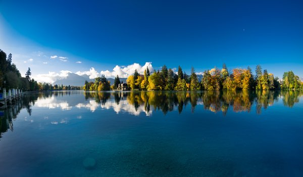 Обои на рабочий стол: Canton of Bern, River Aare, switzerland, Thun, вода, деревья, осень, отражение, река, река Аре, Тун, швейцария