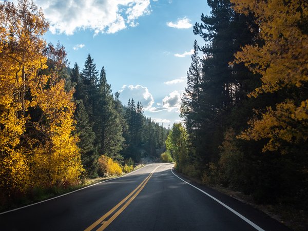 clouds, fall, forest, landscape, nature, road, sky, trees